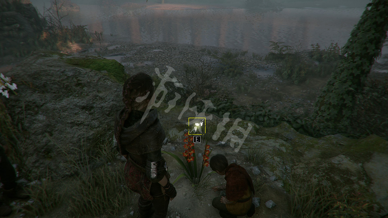 《瘟疫傳說無罪》收集攻略大全 全奇珍+全禮物+全植物標本收集攻略