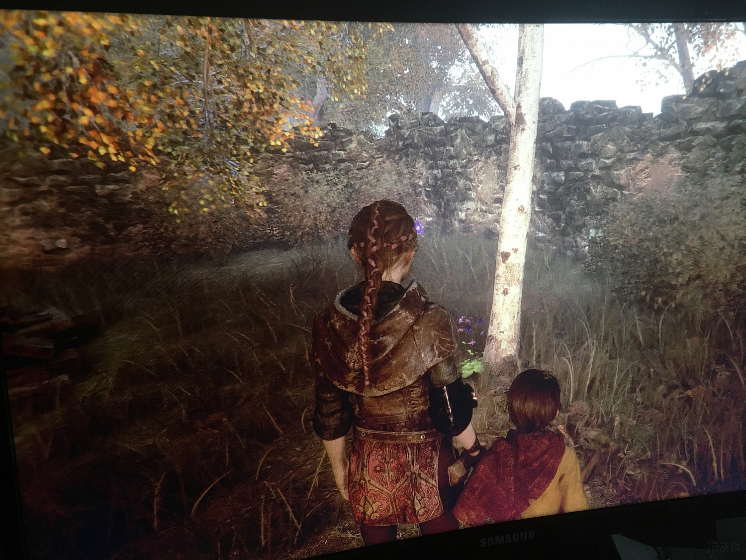 《瘟疫傳說無罪》全收集圖文攻略一覽 全收集物品位置一覽