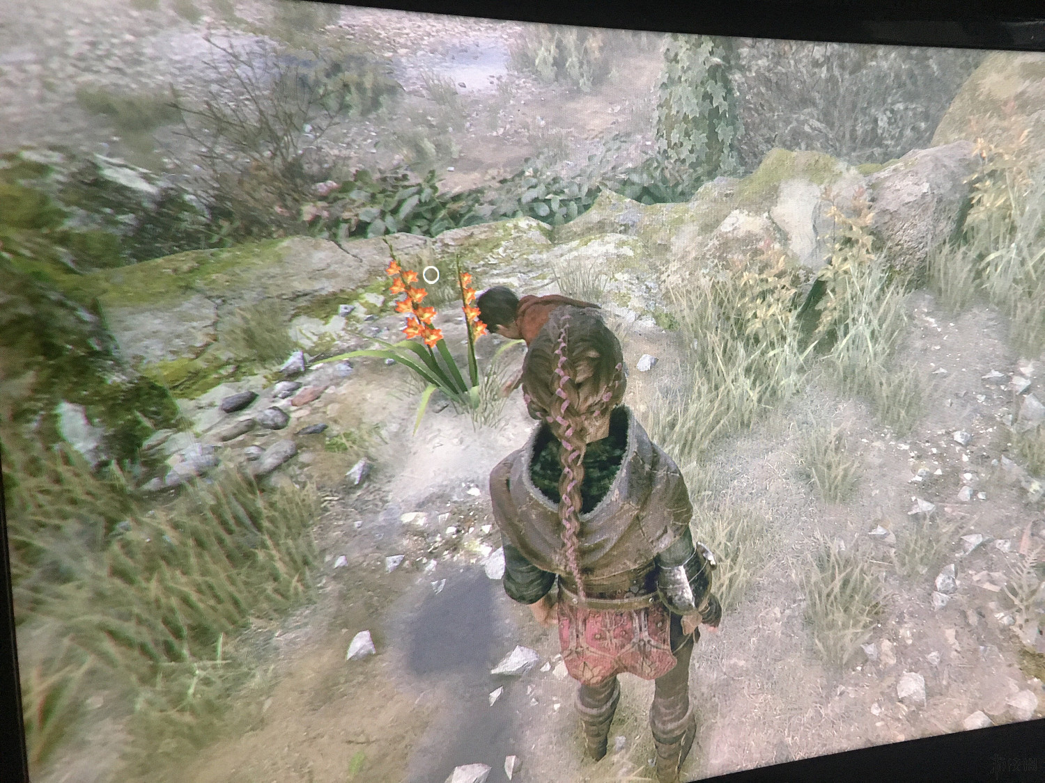 《瘟疫傳說無罪》全收集圖文攻略一覽 全收集物品位置一覽