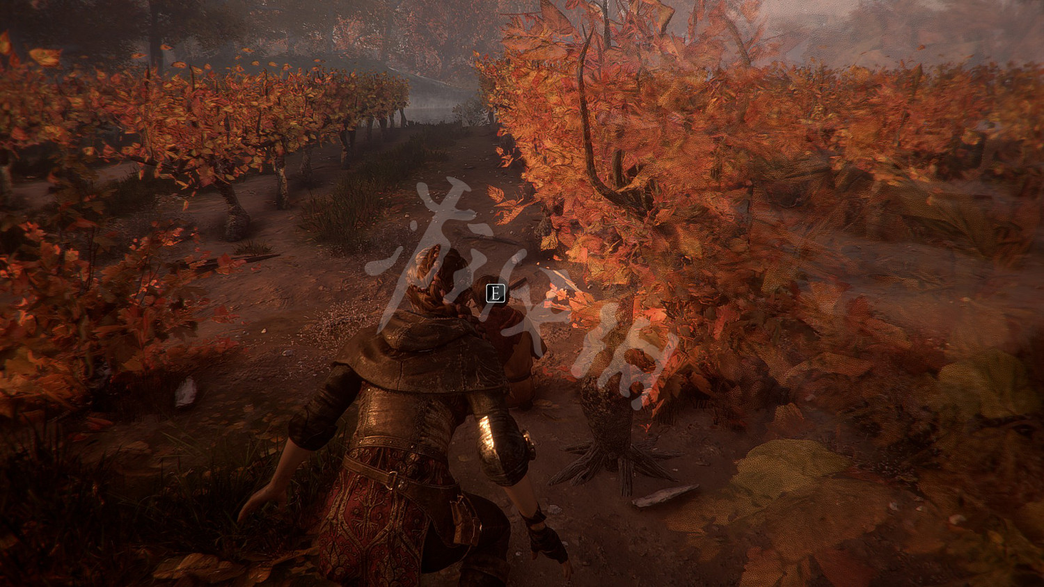 《瘟疫傳說無罪》收集攻略大全 全奇珍+全禮物+全植物標本收集攻略