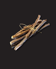 《翼星求生》樹液怎麽獲取？樹液獲取攻略分享