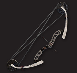 《翼星求生》有哪些弓箭?全弓箭一覽 《翼星求生》有哪些弓箭?全弓箭一覽