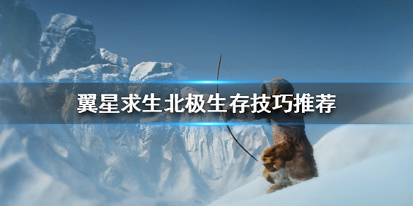 《翼星求生》北極如何生存？北極生存技巧推薦