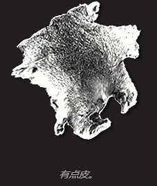 《翼星求生》北極熊毛皮如何獲取？北極熊毛皮獲取方法分享