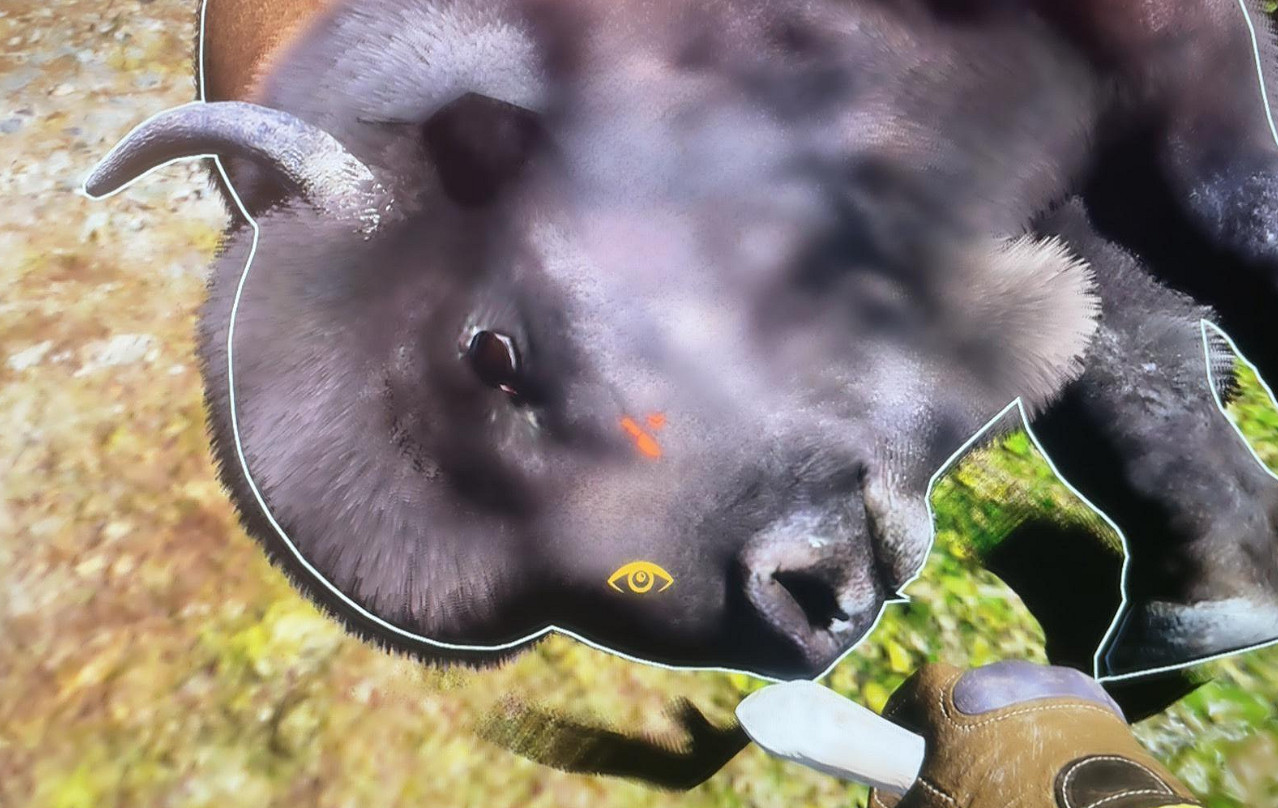 《翼星求生》水牛要怎麽剝皮？水牛剝皮方法分享