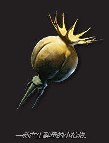 《翼星求生》酵母怎麽獲取？酵母獲取方法分享