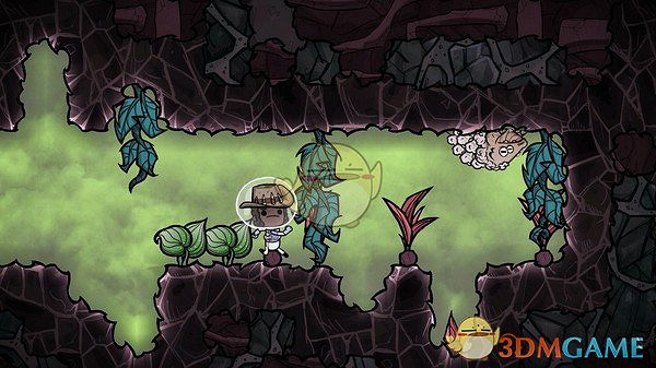 《缺氧》養殖動物方法分享