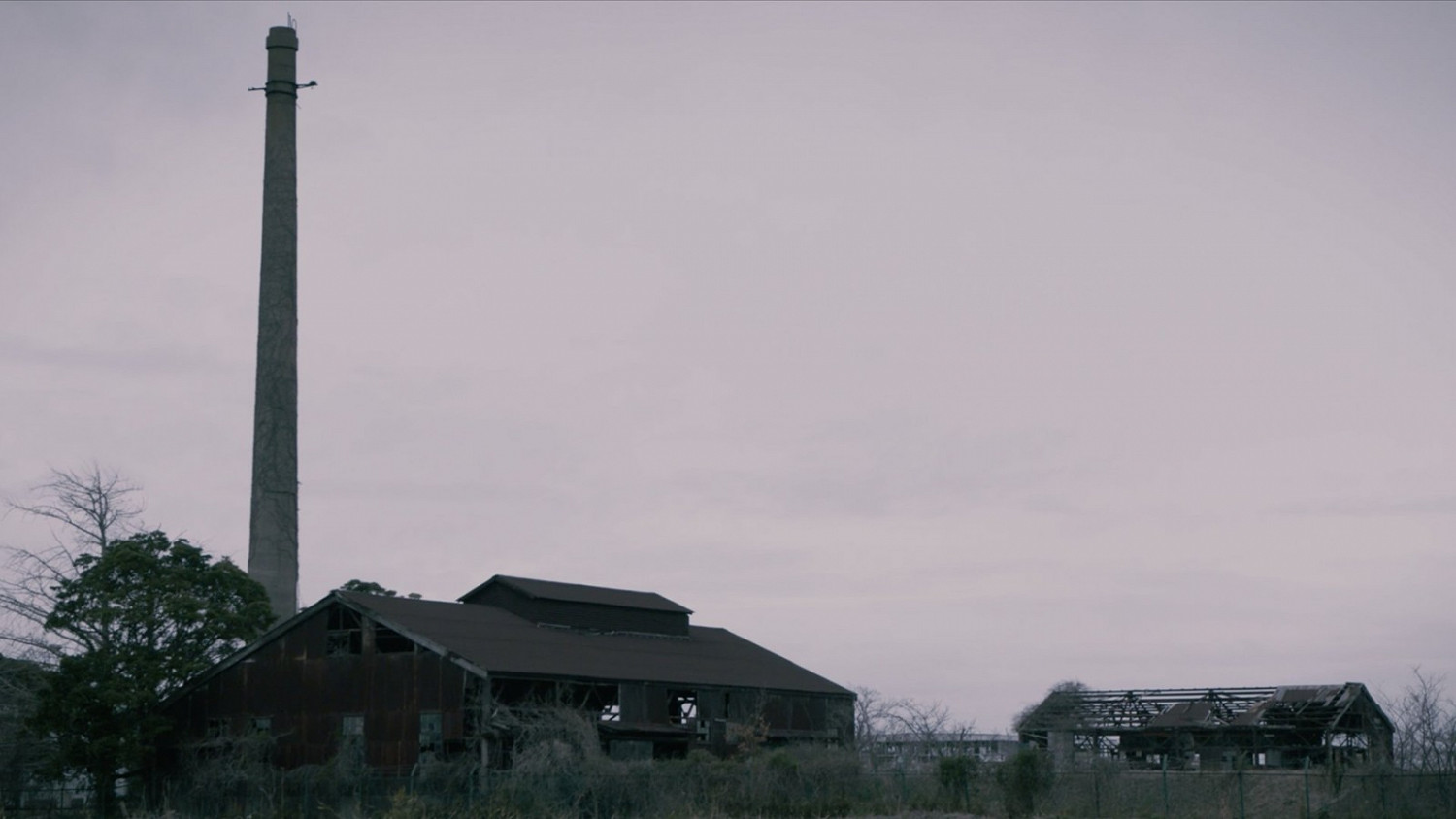 中村育美成立自己的工作室 新作將充滿黑色幽默