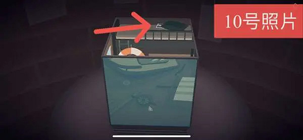 《籠中窺夢》照片如何收集？照片收集指南分享