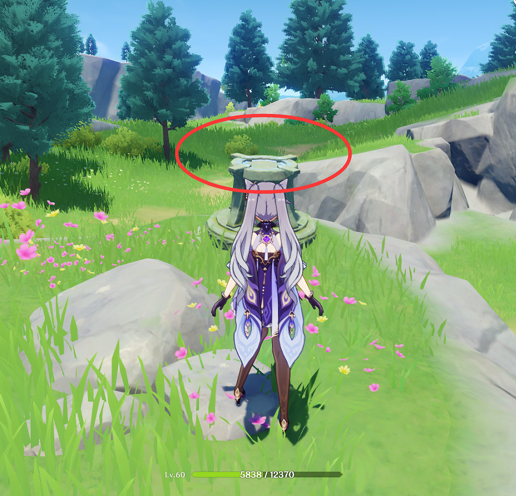 《原神》逐風的冒險家怎麽玩 逐風的冒險家玩法介紹