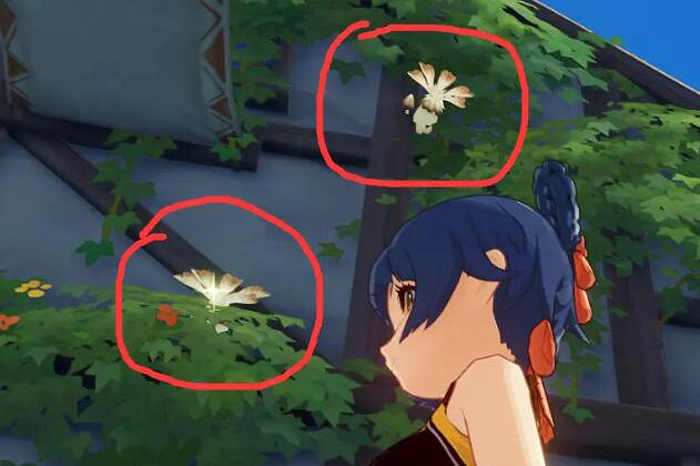 《原神》哪裡有慕風蘑菇？慕風蘑菇獲得方法分享