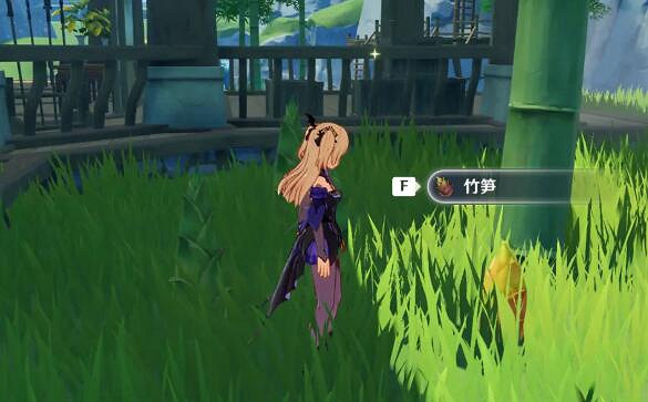 《原神》竹筍在哪？竹筍位置分享
