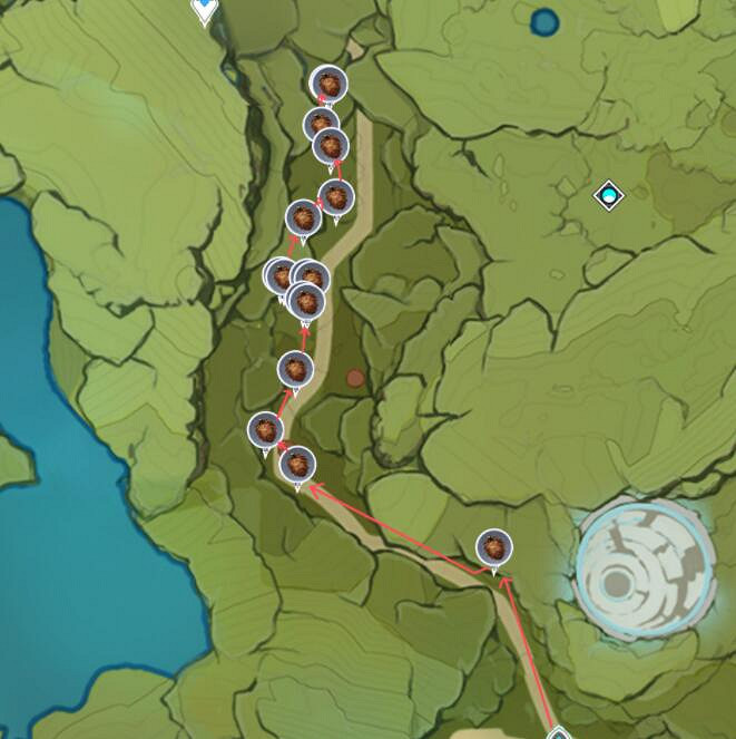 《原神》鬆果在哪裡採集？鬆果分布圖一覽