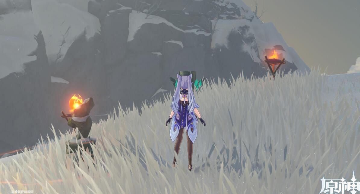 《原神》寒天之釘仙靈在哪？寒天之釘成就達成心得