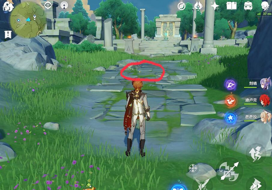 《原神》禽肉刷新點推薦 哪些地方有禽肉刷？