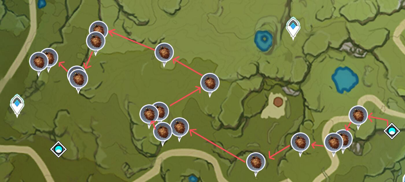 《原神》鬆果在哪裡採集？鬆果分布圖一覽