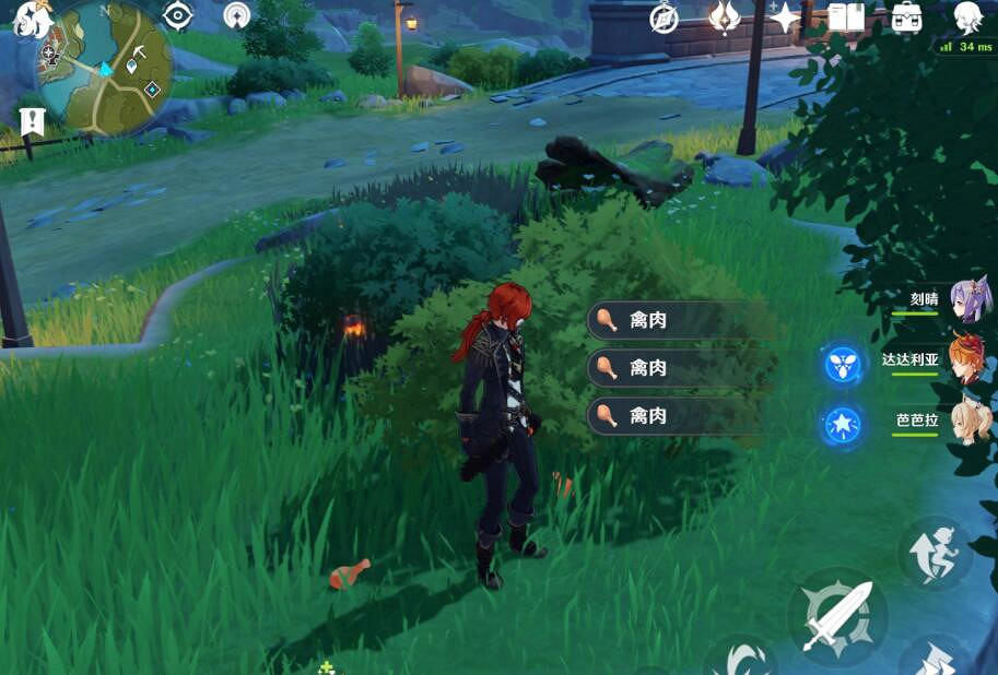 《原神》禽肉刷新點推薦 哪些地方有禽肉刷？