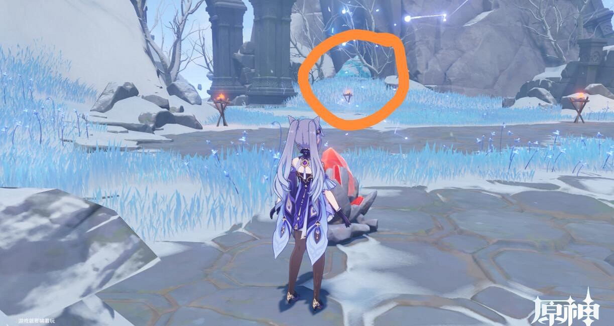 《原神》寒天之釘仙靈在哪？寒天之釘成就達成心得