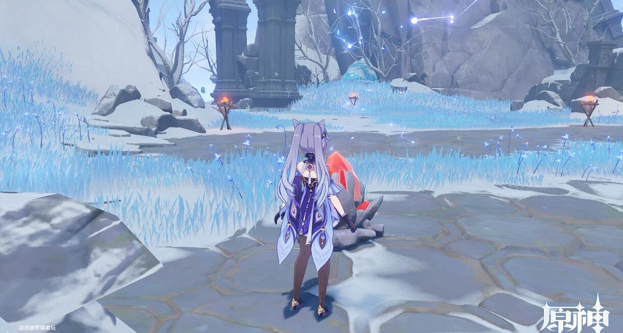 《原神》寒天之釘仙靈在哪？寒天之釘成就達成心得