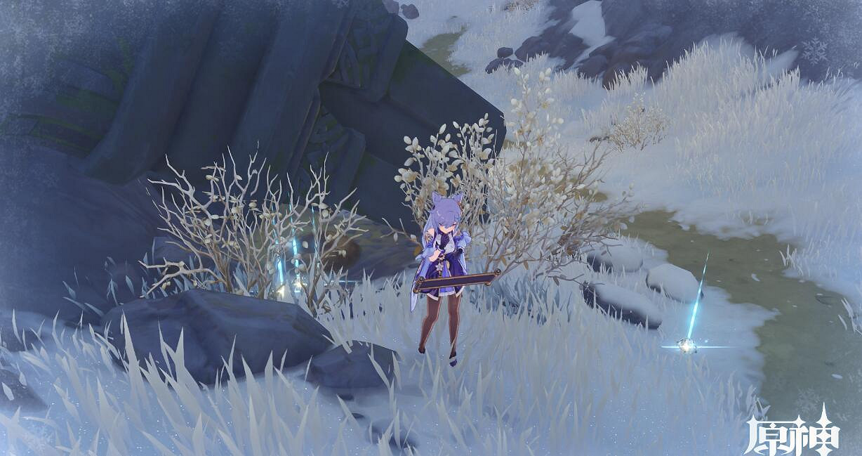 《原神》狐狸食盆在哪？狐狸的報恩寶箱及緋紅玉髓獲得方法