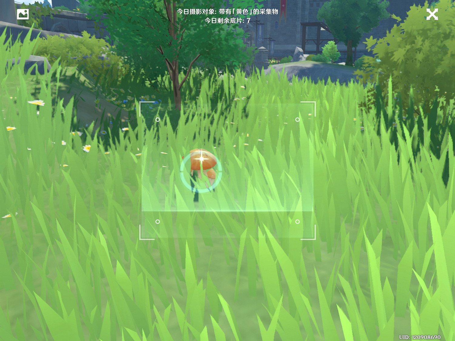 《原神》福至五彩第五天怎麽玩 福至五彩黃色採集物介紹 《原神》福至五彩第五天怎麽玩 福至五彩黃色採集物介紹