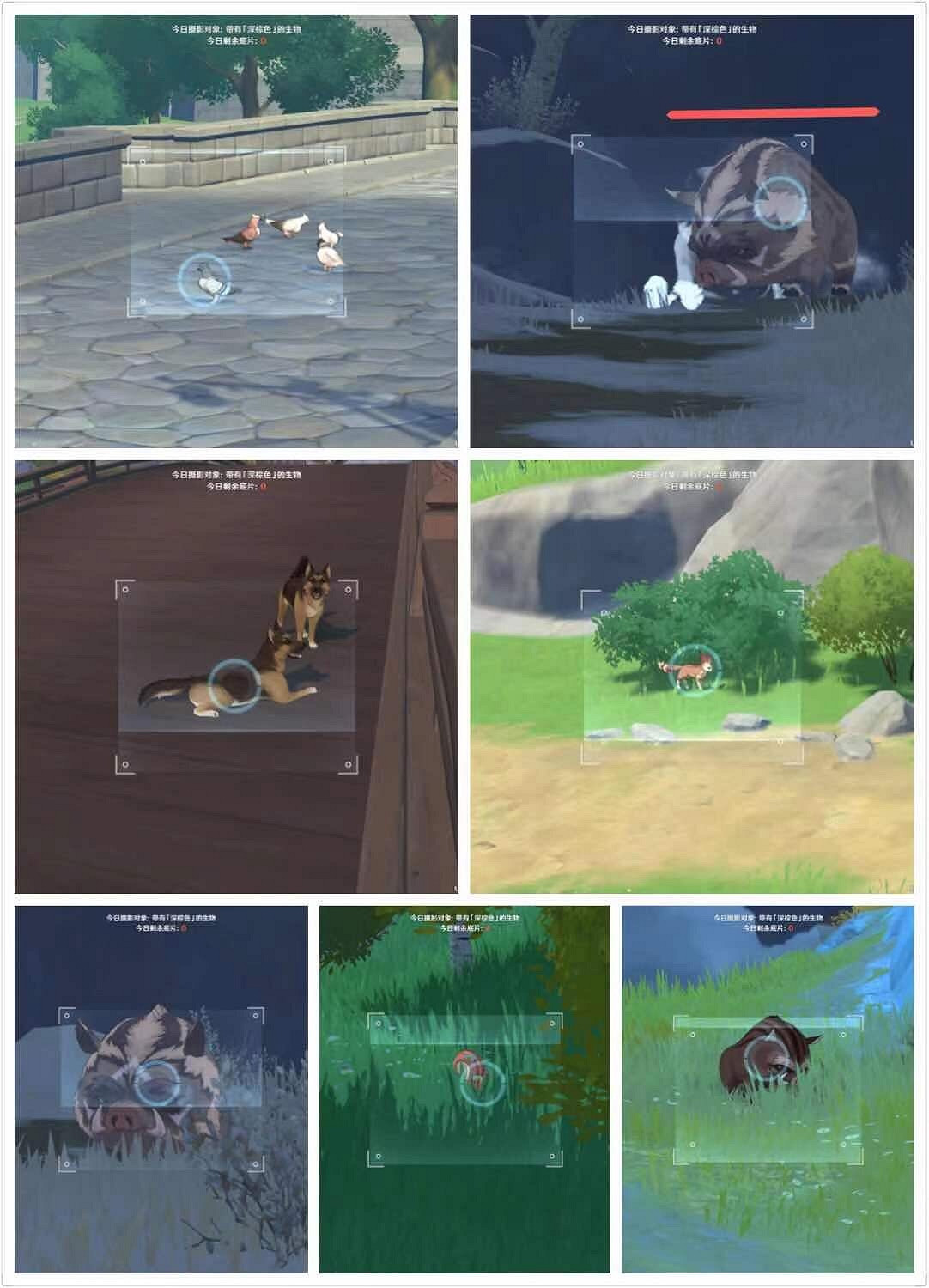 《原神》福至五彩第六天怎麽玩 福至五彩深褐色生物一覽