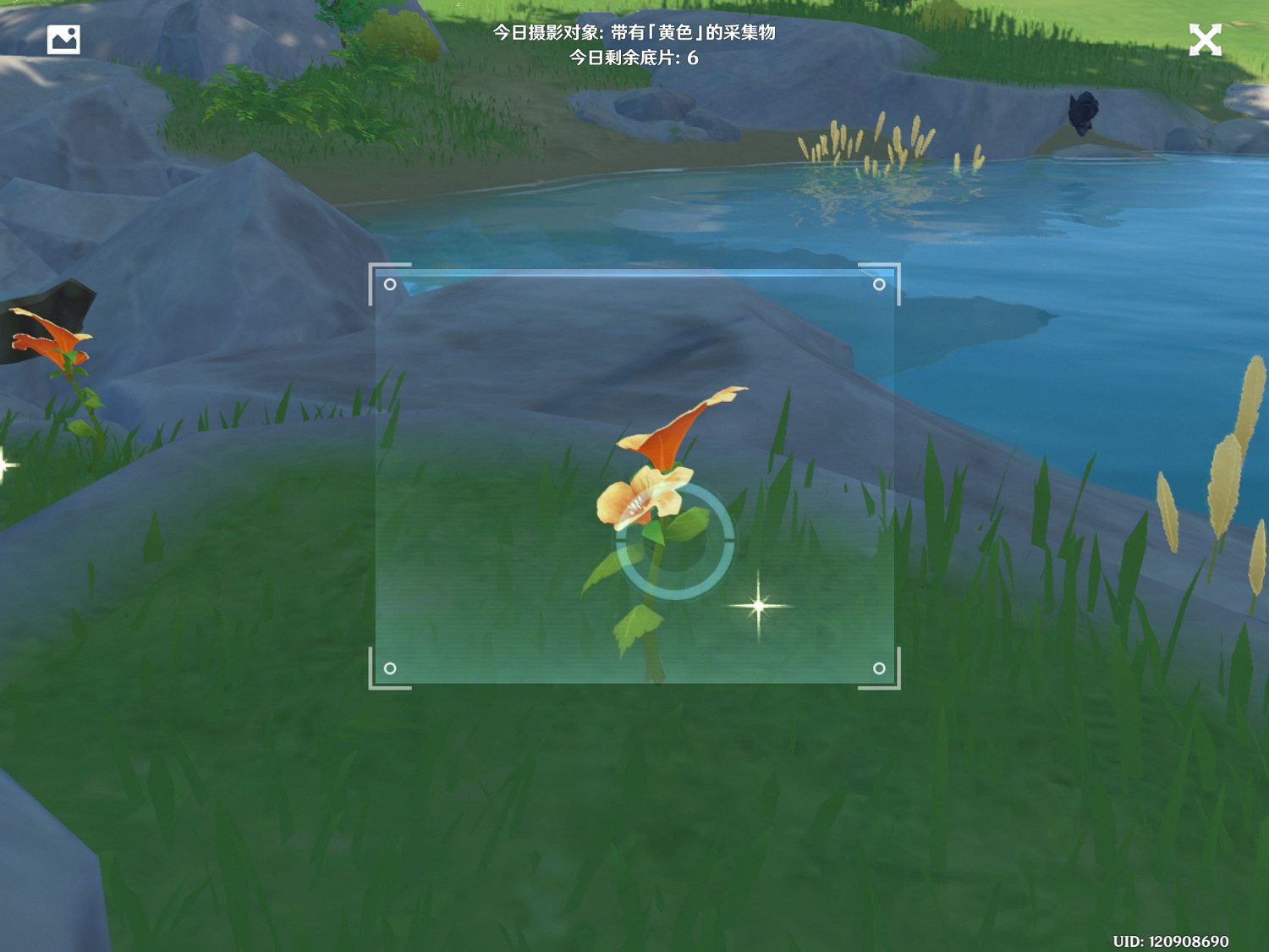 《原神》福至五彩第五天怎麽玩 福至五彩黃色採集物介紹 《原神》福至五彩第五天怎麽玩 福至五彩黃色採集物介紹