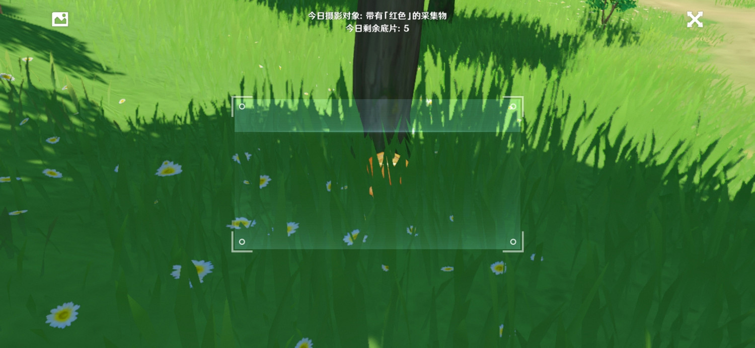 《原神》福至五彩第一天怎麽玩 福至五彩紅色採集物介紹