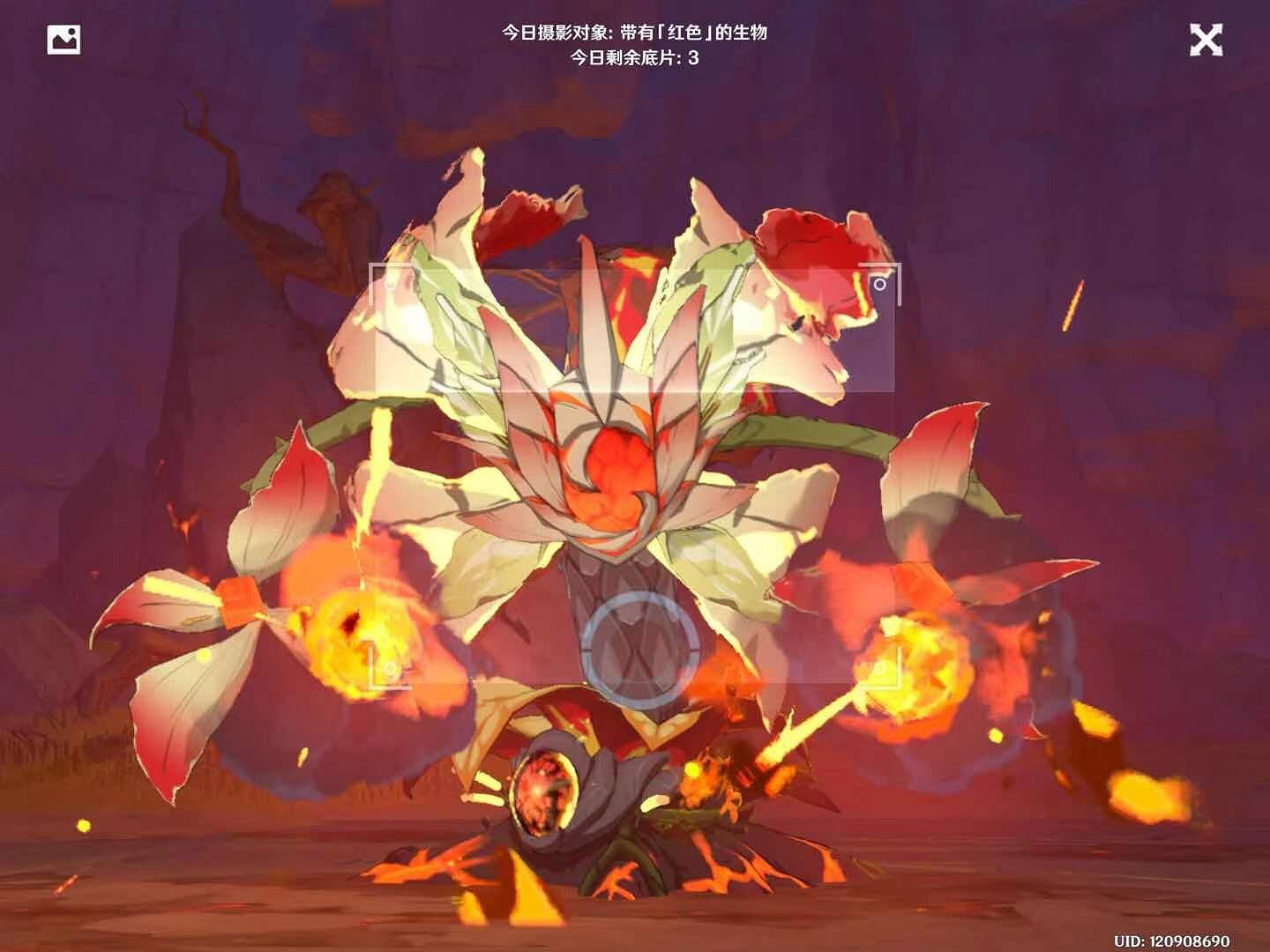 《原神》1.3福至五彩第三天怎麽玩 1.3福至五彩紅色生物介紹 《原神》1.3福至五彩第三天怎麽玩 1.3福至五彩紅色生物介紹