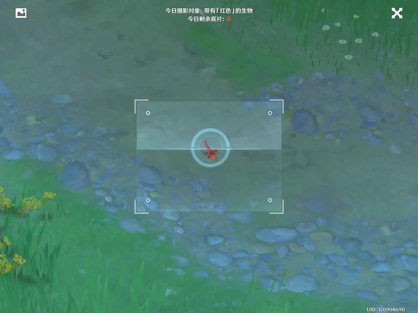 《原神》1.3福至五彩第三天怎麽玩 1.3福至五彩紅色生物介紹 《原神》1.3福至五彩第三天怎麽玩 1.3福至五彩紅色生物介紹