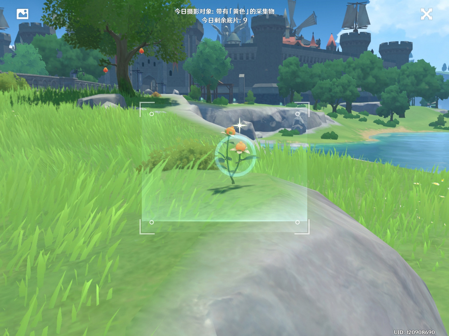《原神》福至五彩第五天怎麽玩 福至五彩黃色採集物介紹 《原神》福至五彩第五天怎麽玩 福至五彩黃色採集物介紹