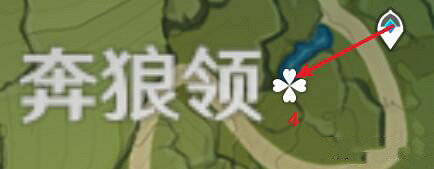 《原神》嘟嘟蓮在哪採集？嘟嘟蓮分布圖分享