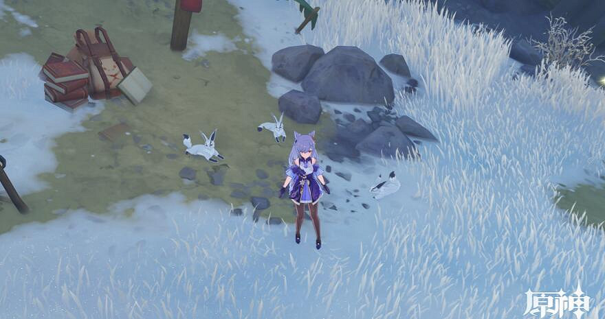 《原神》狐狸食盆在哪？狐狸的報恩寶箱及緋紅玉髓獲得方法