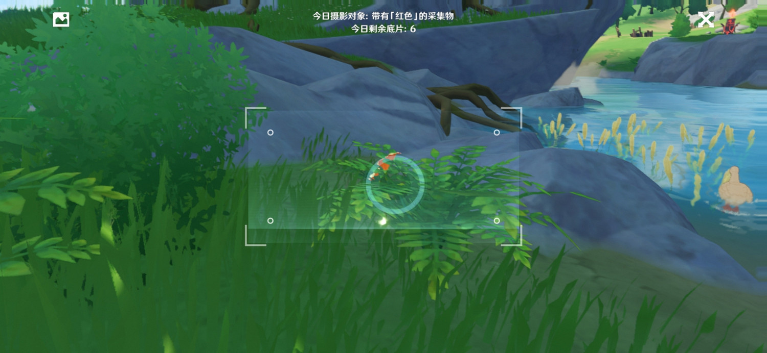 《原神》福至五彩第一天怎麽玩 福至五彩紅色採集物介紹