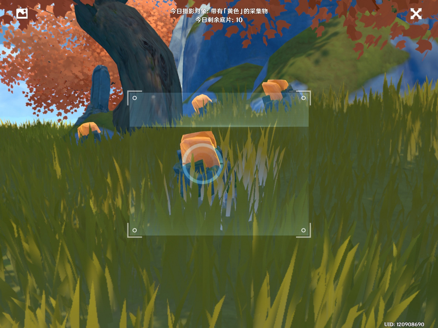 《原神》福至五彩第五天怎麽玩 福至五彩黃色採集物介紹 《原神》福至五彩第五天怎麽玩 福至五彩黃色採集物介紹