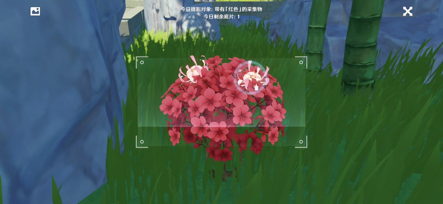 《原神》福至五彩第一天怎麽玩 福至五彩紅色採集物介紹