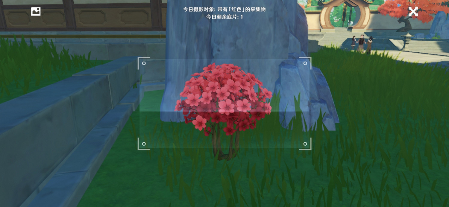 《原神》福至五彩第一天怎麽玩 福至五彩紅色採集物介紹