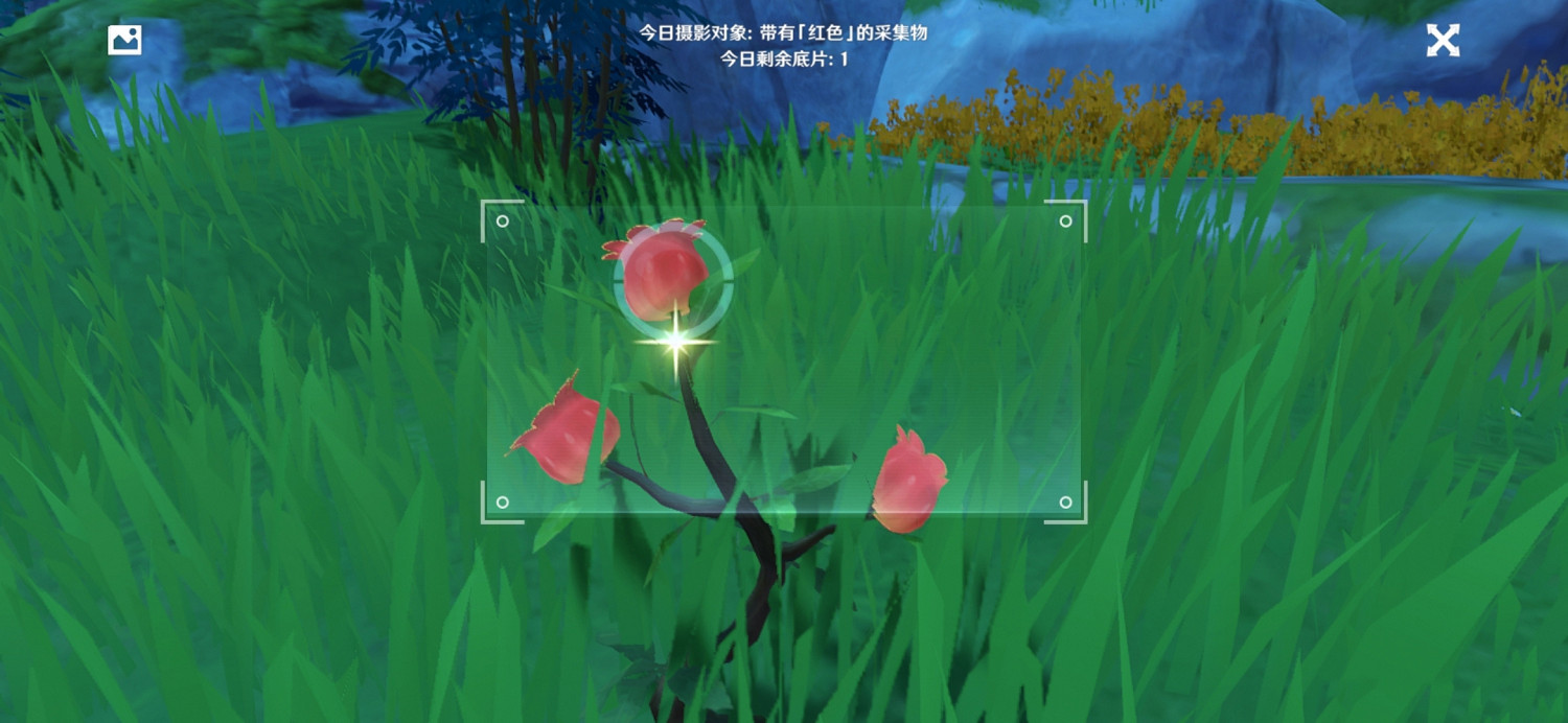 《原神》福至五彩第一天怎麽玩 福至五彩紅色採集物介紹