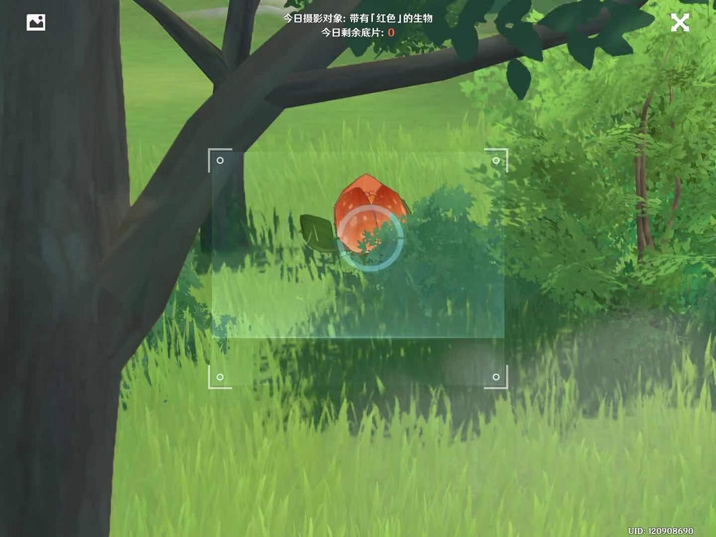 《原神》1.3福至五彩第三天怎麽玩 1.3福至五彩紅色生物介紹 《原神》1.3福至五彩第三天怎麽玩 1.3福至五彩紅色生物介紹