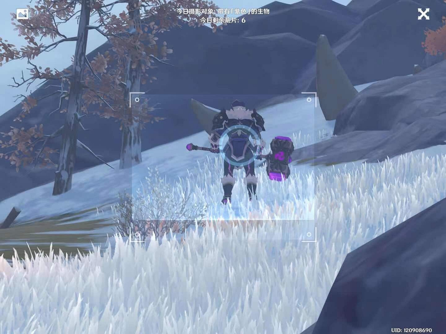 《原神》福至五彩第七天怎麽玩 福至五彩紫色生物介紹