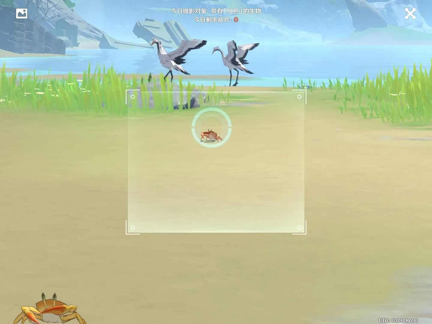 《原神》1.3福至五彩第三天怎麽玩 1.3福至五彩紅色生物介紹 《原神》1.3福至五彩第三天怎麽玩 1.3福至五彩紅色生物介紹