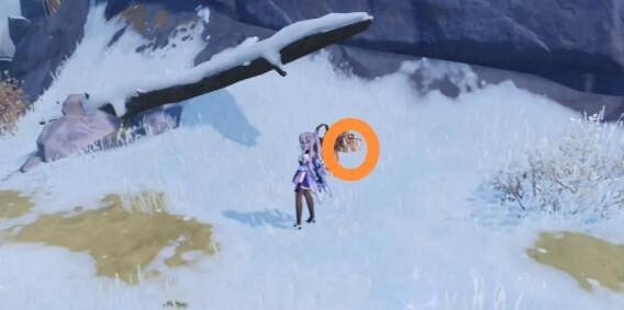 《原神》野豬公主卷六在哪裡？野豬公主全套收集攻略