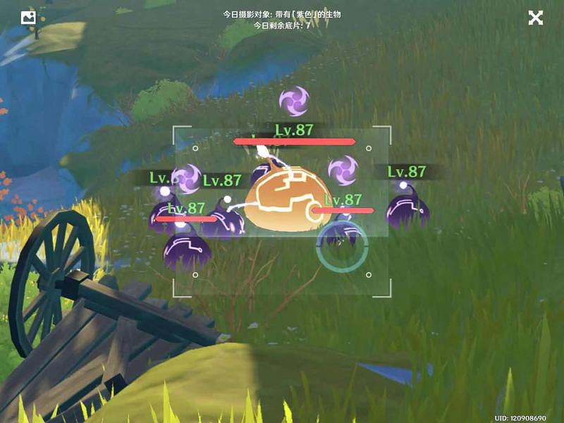 《原神》福至五彩第七天怎麽玩 福至五彩紫色生物介紹