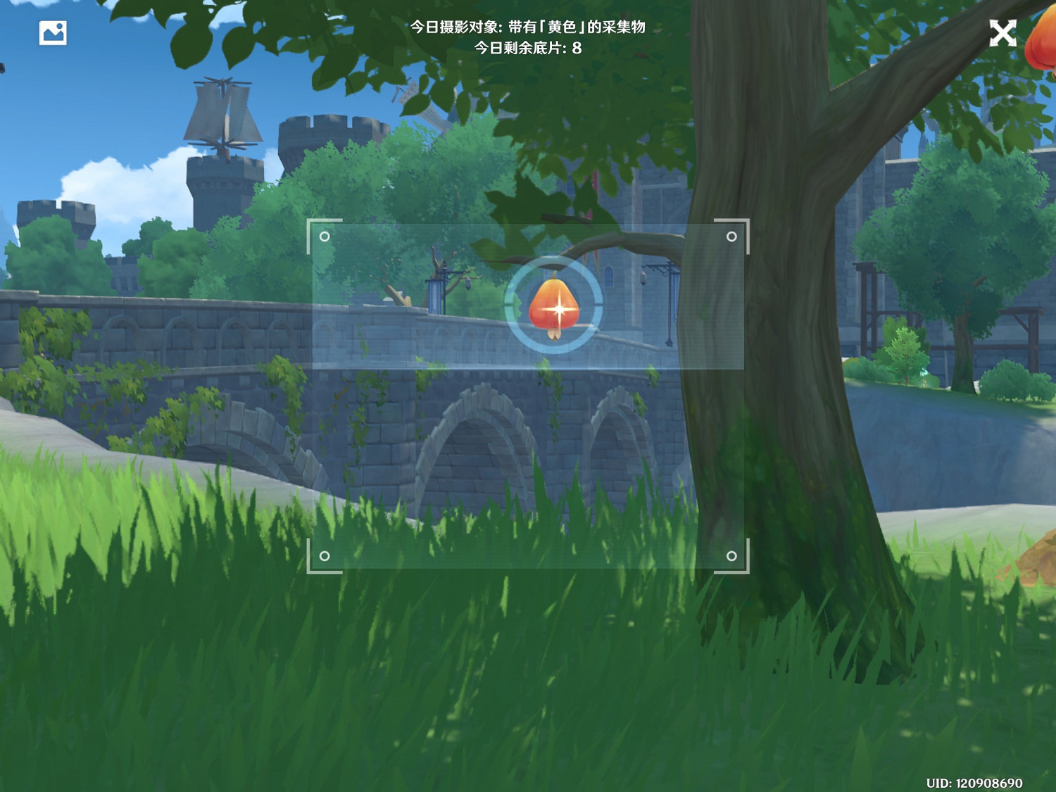 《原神》福至五彩第五天怎麽玩 福至五彩黃色採集物介紹 《原神》福至五彩第五天怎麽玩 福至五彩黃色採集物介紹