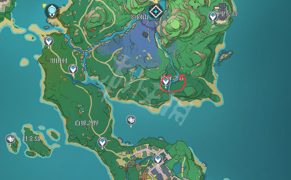 《原神》稻妻木頭在哪砍?稻妻木頭採集點推薦 《原神》稻妻木頭在哪砍?稻妻木頭採集點推薦