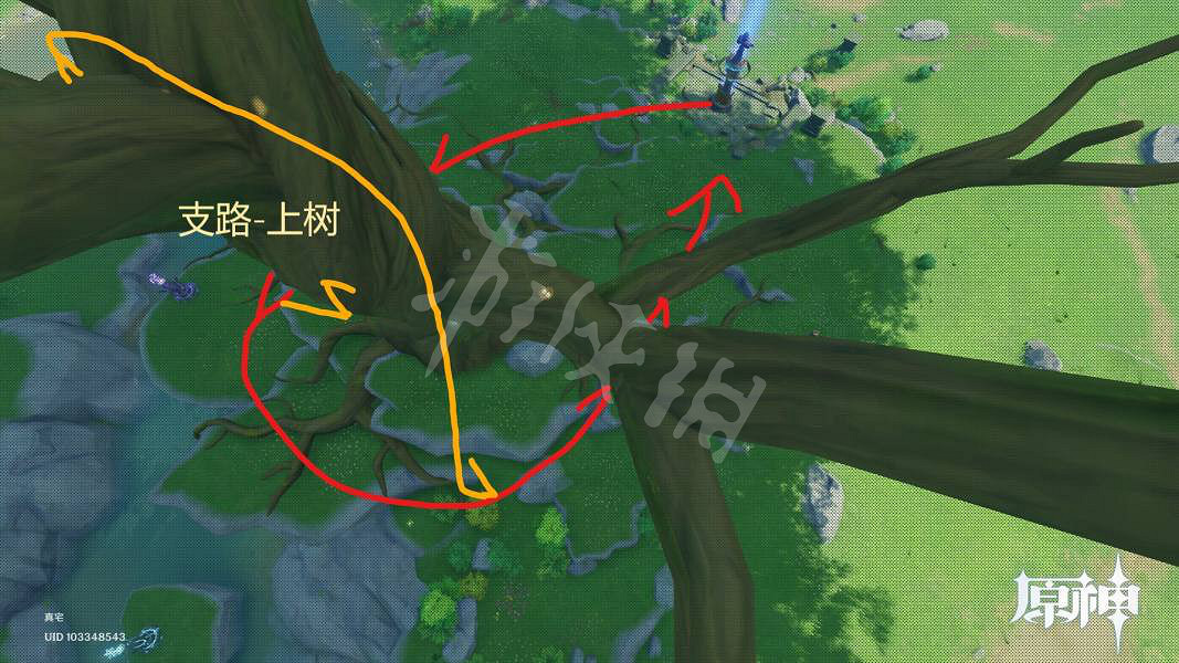 《原神》晶蝶在哪抓？晶蝶捕捉路線推薦