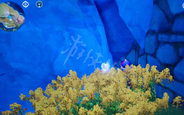 《原神》躲貓貓獵人怎麽抓人？躲貓貓獵人視野位置推薦