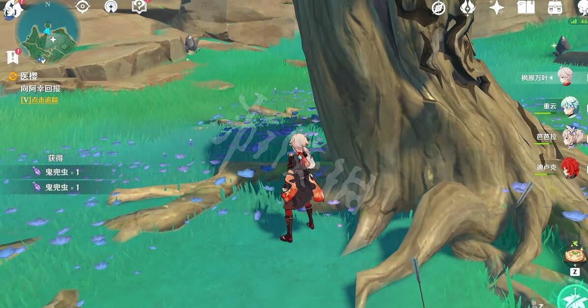 《原神》醫櫻任務怎麽完成？醫櫻任務流程圖文詳解