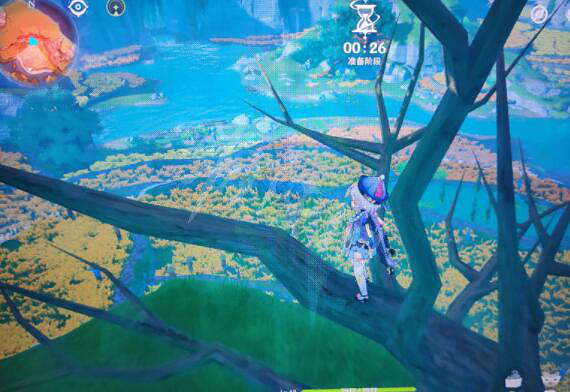 《原神》躲貓貓獵人怎麽抓人？躲貓貓獵人視野位置推薦