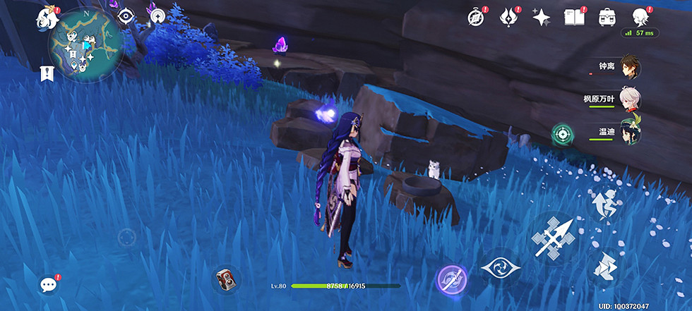 《原神》喂貓成就怎麽玩?貓的贈禮成就玩法分享 《原神》喂貓成就怎麽玩?貓的贈禮成就玩法分享